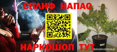 альфа пвп Новокубанск