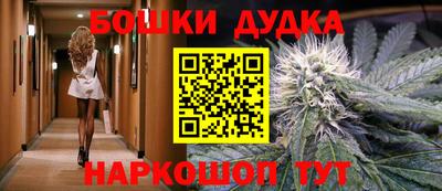 твердый Новодвинск