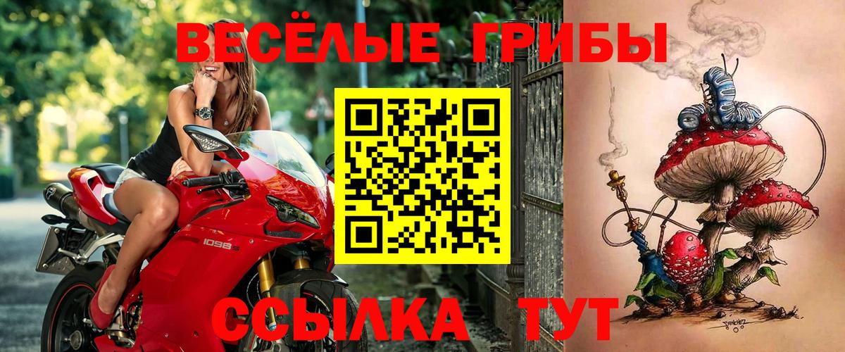 Великий Новгород  Галлюциногенные грибы мицелий  Вход с VPN 